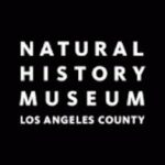 Los Angeles County Museum Of Natural History Foundation